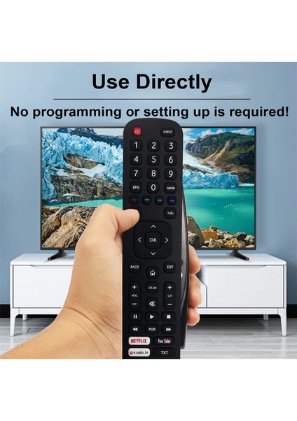 Tv Için EN2X27HS Uzaktan Kumandayı Değiştirin H55M3300 H50M3300 H49M3000 H49M2600 H43MEC3050 H75M7900 H65M7000 H40M3300 (Yurt Dışından) modelleri
