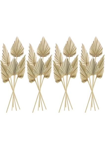 20 Adet Boho Kurutulmuş Palmiye Mızrak Yaprakları, Küçük Kurutulmuş Gerçek Palmiye Hayranları, Kök ile Kurutulmuş Palmiye Yaprakları Kurutulmuş Yaprak Dekor Vazo (Yurt Dışından)