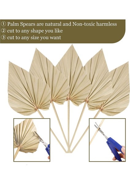 20 Adet Boho Kurutulmuş Palmiye Mızrak Yaprakları, Küçük Kurutulmuş Gerçek Palmiye Hayranları, Kök ile Kurutulmuş Palmiye Yaprakları Kurutulmuş Yaprak Dekor Vazo (Yurt Dışından) indirimleri