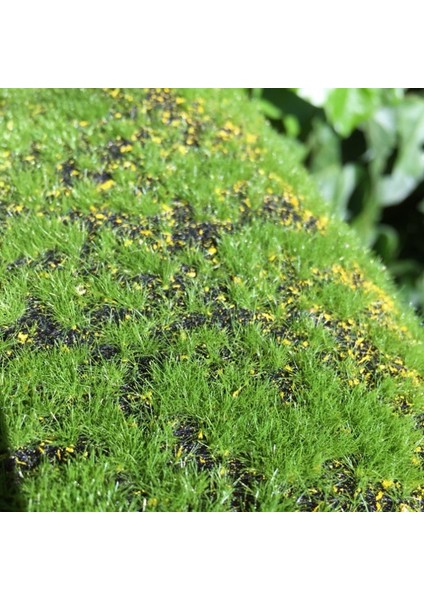 Yeşil Bitkiler Sahte Yosun Çim Dükkanı Ev Veranda Dekorasyon Bahçe Duvar Oturma Odası Dekor Malzemeleri (Yurt Dışından) modelleri