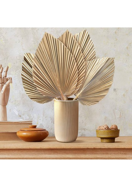 5 Adet Doğal Kurutulmuş Palmiye Yaprakları Tropikal Kurutulmuş Palmiye Hayranları Boho Kuru Yapraklar Dekor Ev Mutfak Düğün Için (Yurt Dışından)