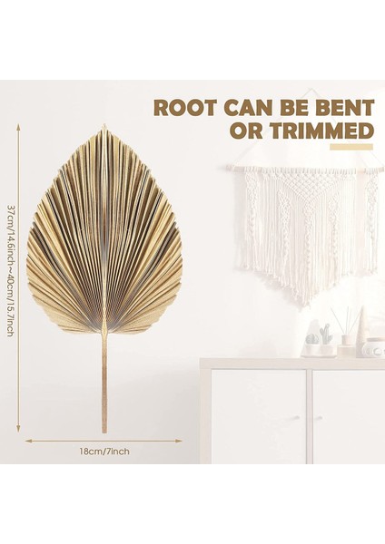 5 Adet Doğal Kurutulmuş Palmiye Yaprakları Tropikal Kurutulmuş Palmiye Hayranları Boho Kuru Yapraklar Dekor Ev Mutfak Düğün Için (Yurt Dışından)