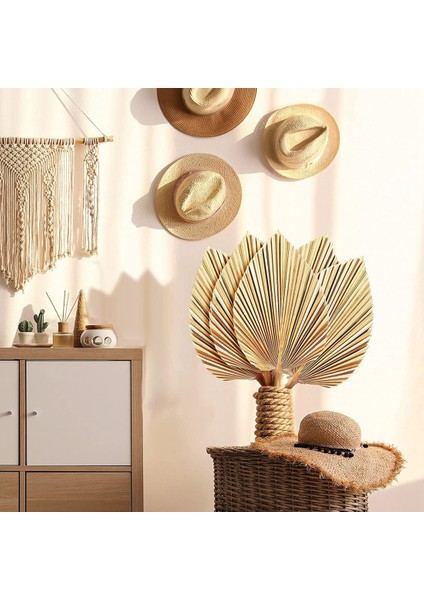 5 Adet Doğal Kurutulmuş Palmiye Yaprakları Tropikal Kurutulmuş Palmiye Hayranları Boho Kuru Yapraklar Dekor Ev Mutfak Düğün Için (Yurt Dışından)
