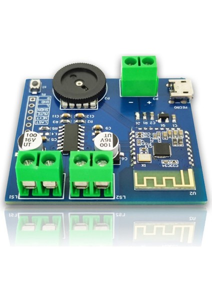 Bluetooth Ses Modülü Bluetooth 4.2 5WX2 Güç Kayıpsız Çift Kanallı Stereo Düşük Güç Çok Fonksiyonlu Taşınabilir Modül (Yurt Dışından)