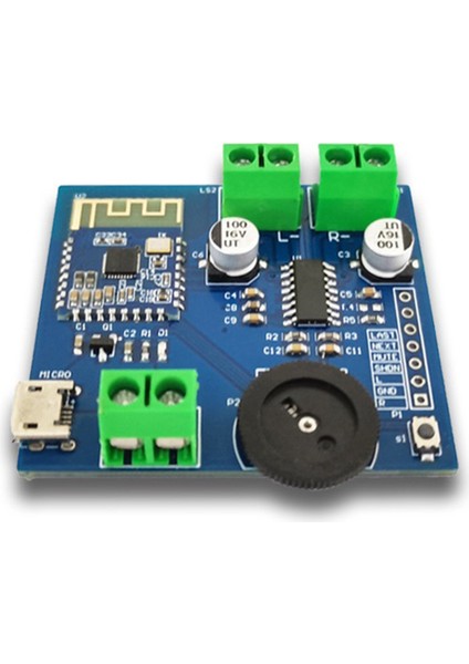 Bluetooth Ses Modülü Bluetooth 4.2 5WX2 Güç Kayıpsız Çift Kanallı Stereo Düşük Güç Çok Fonksiyonlu Taşınabilir Modül (Yurt Dışından)