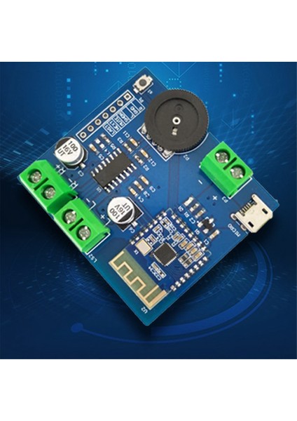 Bluetooth Ses Modülü Bluetooth 4.2 5WX2 Güç Kayıpsız Çift Kanallı Stereo Düşük Güç Çok Fonksiyonlu Taşınabilir Modül (Yurt Dışından)
