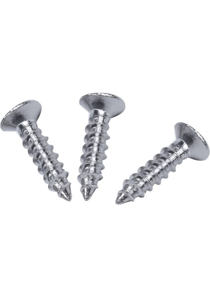 Quanbu Paslanmaz Çelik Düz Başlı Phillips Başlı Vida 12MM x 3mm 60 Adet (Yurt Dışından)