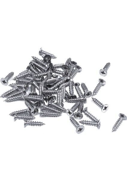 Quanbu Paslanmaz Çelik Düz Başlı Phillips Başlı Vida 12MM x 3mm 60 Adet (Yurt Dışından) indirimleri