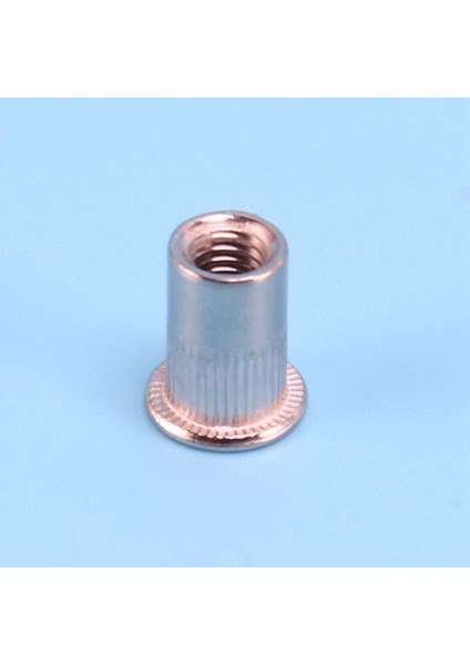 Nxfdsıoz 100 Adet 304 Paslanmaz Çelik Perçin Somun Rivnut Insert Nutsert M6X15MM (Yurt Dışından)