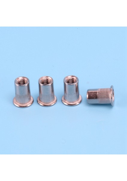 Nxfdsıoz 100 Adet 304 Paslanmaz Çelik Perçin Somun Rivnut Insert Nutsert M6X15MM (Yurt Dışından)