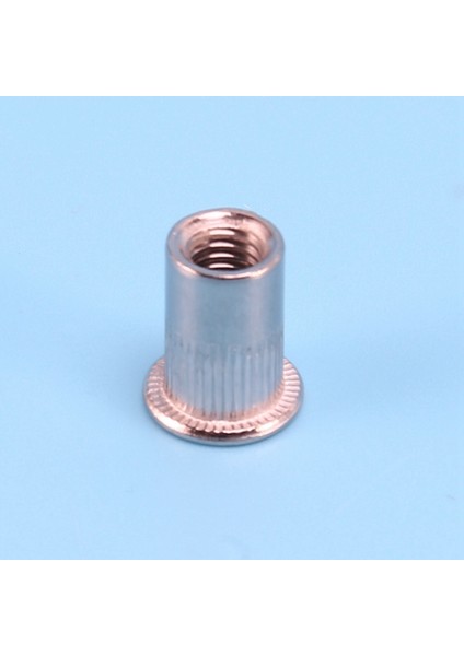 Nxfdsıoz 100 Adet 304 Paslanmaz Çelik Perçin Somun Rivnut Insert Nutsert M6X15MM (Yurt Dışından)