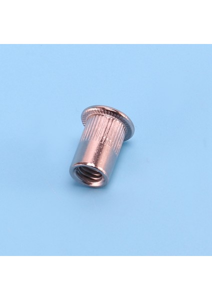 Nxfdsıoz 100 Adet 304 Paslanmaz Çelik Perçin Somun Rivnut Insert Nutsert M6X15MM (Yurt Dışından)
