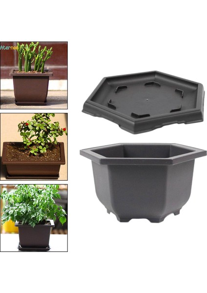 Tepsili Eğitim Saksıları Saksı Sağlam Bitkiler Büyüyen Saksı Bonsai Eğitim Saksıları Ofis Masası Için Çok Fonksiyonlu Büyük Kapalı Balkon (Yurt Dışından) fırsatları