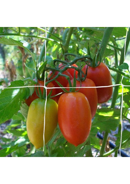 Bitkiler Tırmanma Ağı Çok Fonksiyonlu Ağır Hizmet Tipi Polyester Dış Mekan Için Pratik Bahçe Ağı (Yurt Dışından) indirimleri