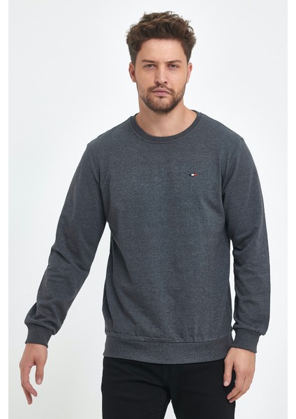 Erkek Antrasit Bisiklet Yaka Nakış Detaylı  Regular Fit Sweatshirt