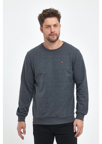 Erkek Antrasit Bisiklet Yaka Nakış Detaylı  Regular Fit Sweatshirt