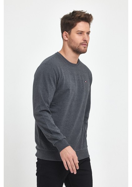 Erkek Antrasit Bisiklet Yaka Nakış Detaylı  Regular Fit Sweatshirt