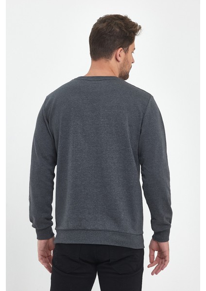 Erkek Antrasit Bisiklet Yaka Nakış Detaylı  Regular Fit Sweatshirt