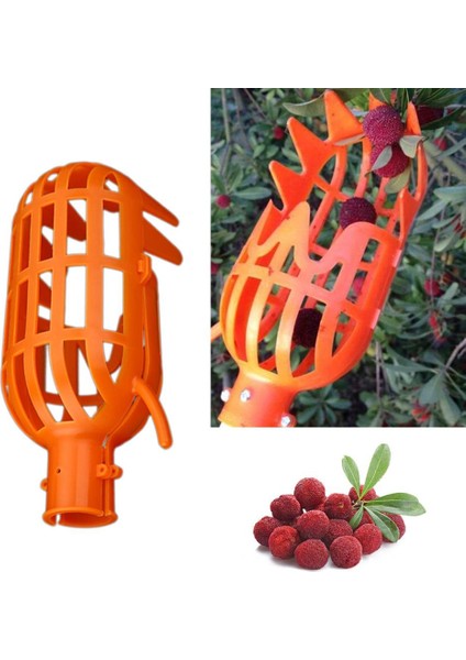 Taşınabilir Meyve Seçici Yakalayıcı Emek Tasarrufu Bahçecilik Çiftlik Toplama Cihazı Aracı (Yurt Dışından) fırsatları