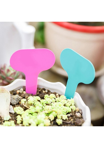 100 Adet 5*7 cm Plastik Bitki T Tipi Etiket Işaretleyiciler Kreş Bahçe Çim Etiketleri Jessica (Yurt Dışından) fiyatları