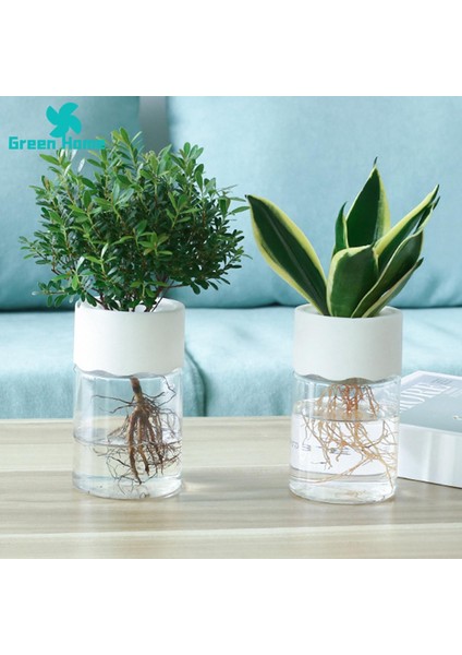 Yeşil Ev Bitki Saksısı Çıkarılabilir Görünür Topraksız Saksı (Yurt Dışından) fırsatları