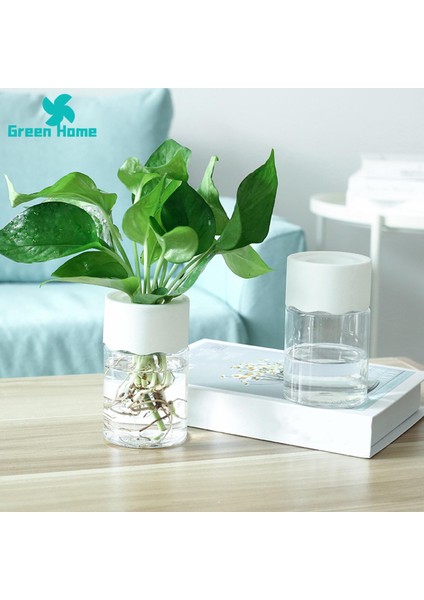 Yeşil Ev Bitki Saksısı Çıkarılabilir Görünür Topraksız Saksı (Yurt Dışından) indirimleri