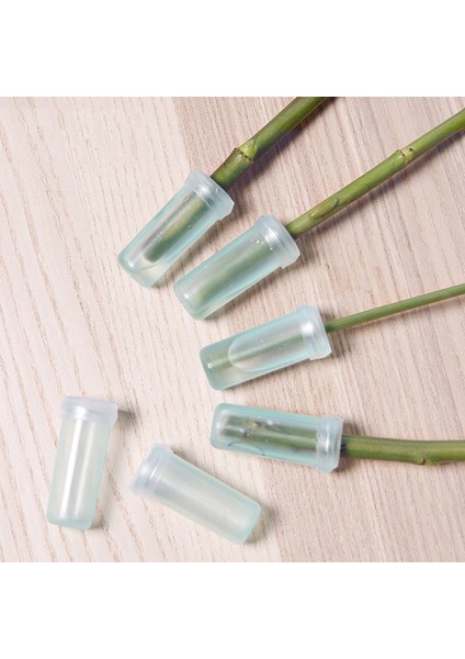 10 Adet Çiçek Beslenme Tüpü Plastik Kapaklı Taze Topraksız Konteyner Jing Tutmak (Yurt Dışından) fırsatları