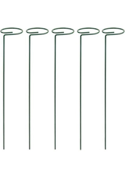 Adet Güzel Bitki Destek Standı Çiçekler Destek Halkası Metal Bitki Desteği Kazıklar Bonsai Destek Arka Bahçe Aracı (Yurt Dışından)