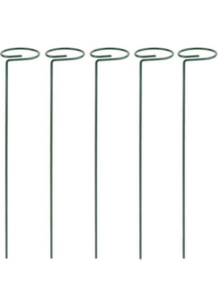 Adet Güzel Bitki Destek Standı Çiçekler Destek Halkası Metal Bitki Desteği Kazıklar Bonsai Destek Arka Bahçe Aracı (Yurt Dışından)