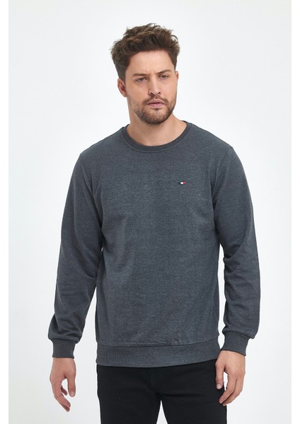 Erkek Antrasit Bisiklet Yaka Nakış Detaylı Regular Fit Sweatshirt modelleri