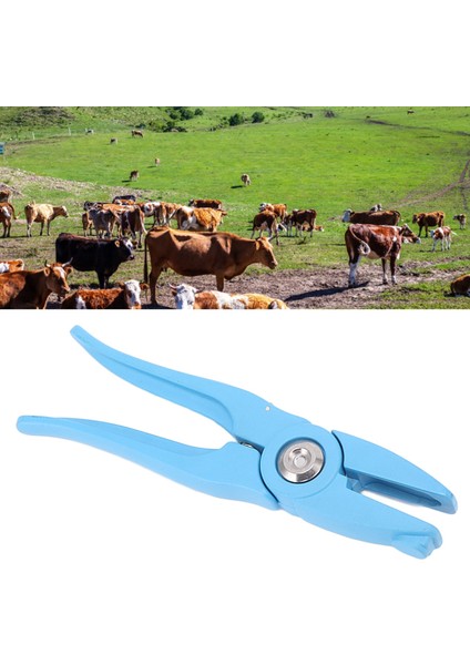 Hayvan Kulak Küpesi Pense, Ergonomik Saplı Kulak Etiketi Aplikatör Evrensel Dayanıklı Çabadan Tasarruf Edin Güçlü Yaylı Demir Sığır Için Keçi Için Inek Için (Yurt Dışından) indirimleri