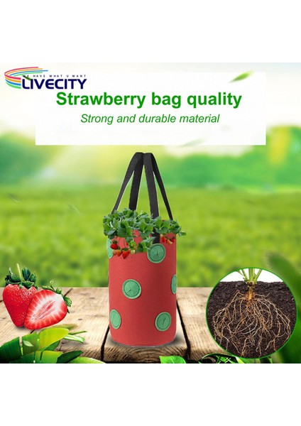 13 Delikli Bahçe Tesisi Sebze Dikim Çantası ile Büyüme Çantası (Yurt Dışından) indirimleri