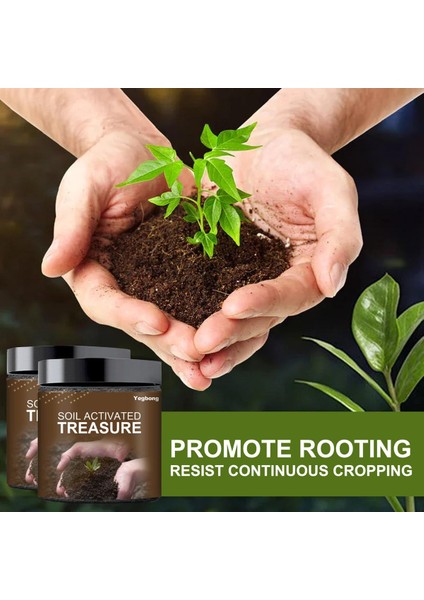 Çiçek Gübresi Verimli Toprakla Aktifleştirilen Hazine Besin Aktivatörü (Yurt Dışından)