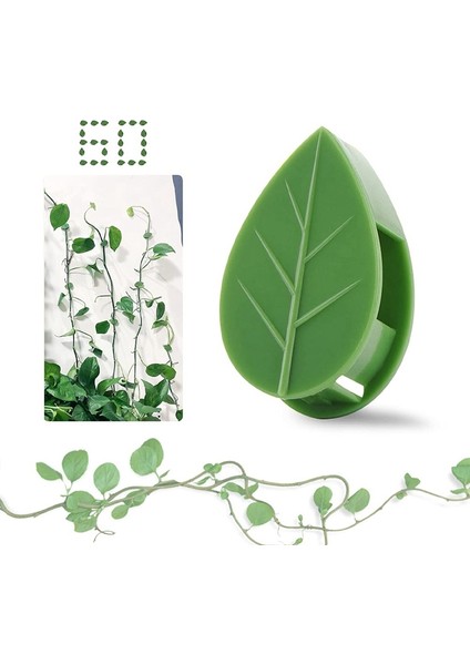 Tırmanma Tesisleri Için Bitki Klipsleri (60'lı Paket), Sapların Dik Büyümesini Desteklemek Için Bitki Tırmanma Duvarı Fikstür Klipsleri, Sarmaşıklar (Yurt Dışından) fırsatları