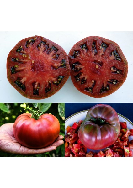 Siyah Karbon Domates Tohumu Geleneksel Carbon Tomato Seeds modelleri
