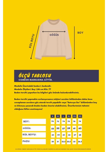 Erkek Lacivert Bisiklet Yaka Nakış Detaylı Regular Fit Sweatshirt