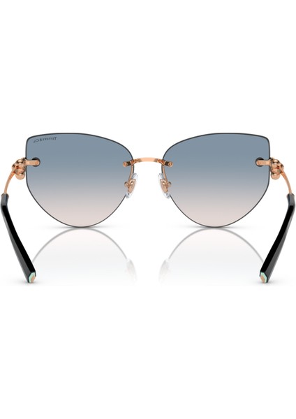 Tiffany&Co TF3096/610516 Kadın Güneş Gözlüğü fiyatları