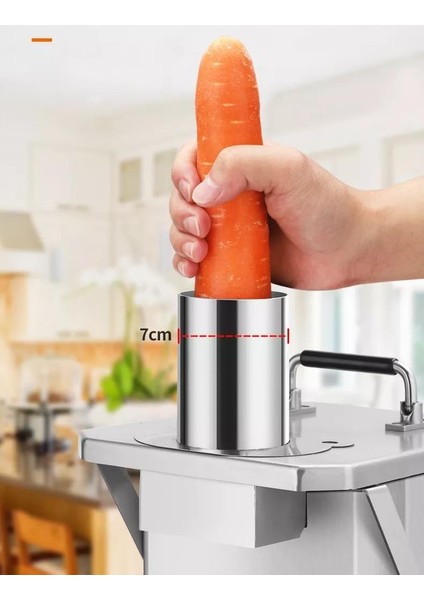 Ex-06 Elektrikli Paslanmaz Çelik Meyve Sebze Gıda Küp Makinesi modelleri