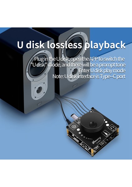 -AP50L Dijital Bluetooth Amplifikatör Kartı Mini Versiyon 50W+50W Hıfı Yüksek Güçlü Bt5.1 Iki Kanallı Stereo Hoparlör Modülü (Yurt Dışından)