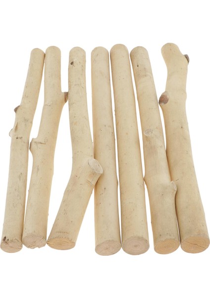 7x Doğal Dalgaların Attığı I Çubuklar Dıy Boyama Dekor 20 cm (Yurt Dışından)