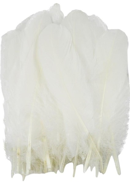 50 Doğal Tüy Dekor (Yurt Dışından) fiyatları