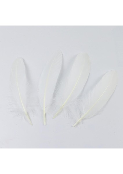 50 Doğal Tüy Dekor (Yurt Dışından) modelleri