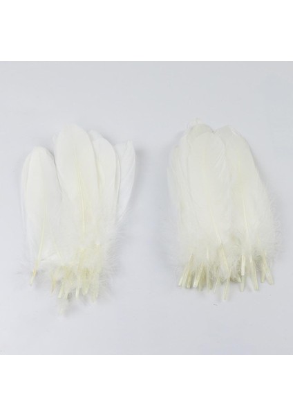 50 Doğal Tüy Dekor (Yurt Dışından) fırsatları