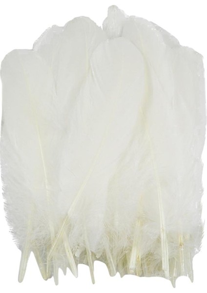 50 Doğal Tüy Dekor (Yurt Dışından) indirimleri