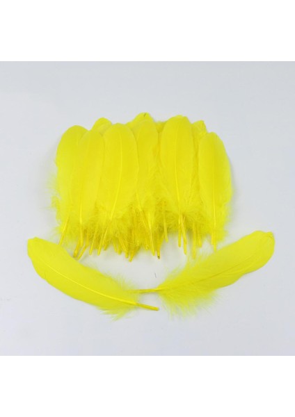 50 Doğal Tüy Dekor Sarı (Yurt Dışından) indirimleri