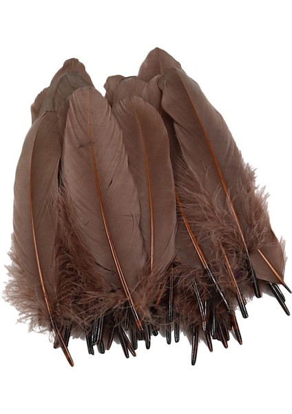 50 Doğal Tüy Dekor (Yurt Dışından)