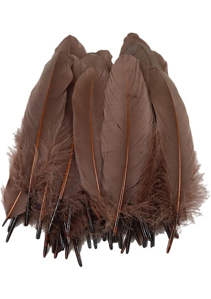 50 Doğal Tüy Dekor (Yurt Dışından) fiyatları