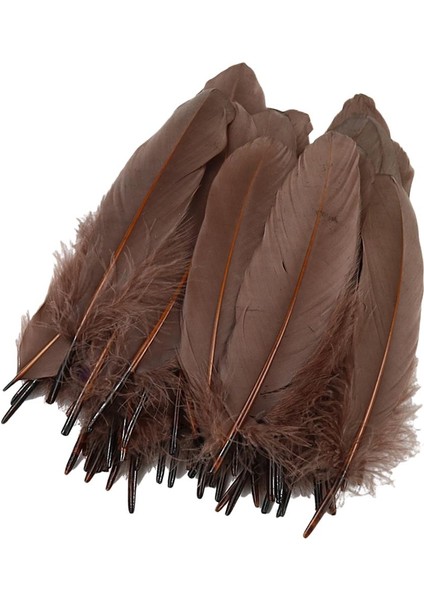 50 Doğal Tüy Dekor (Yurt Dışından) indirimleri