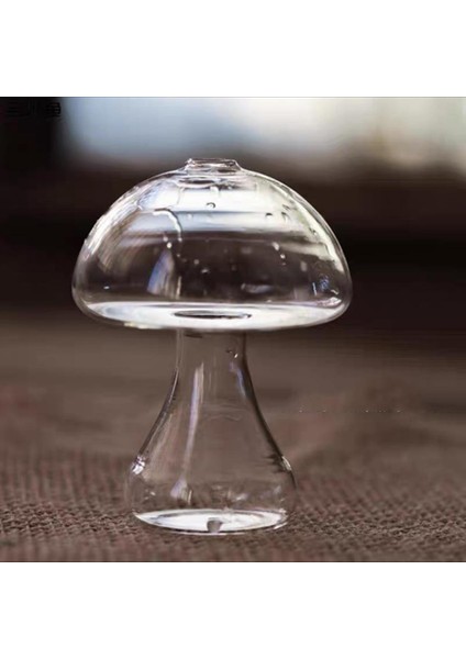 Icı Masaüstü Hidroponik Dekorasyonu Ağız (Yurt Dışından) indirimleri