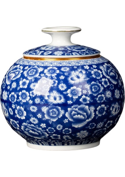 Ev Üstü Için Zencefil Kavanoz Çay Kutusu Tapınak Kavanoz (Yurt Dışından)